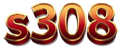 s308 logo